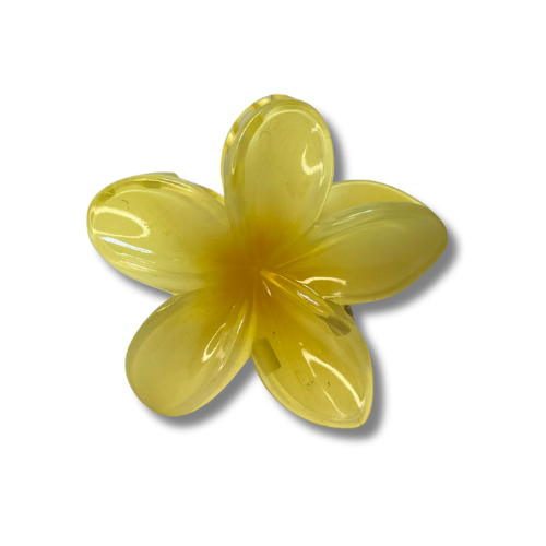 Presilha de Cabelo Floral